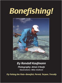 Bonefishing Cover